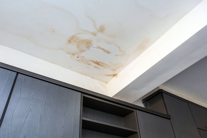 Attic Water Damage Repair in Littleton, CO