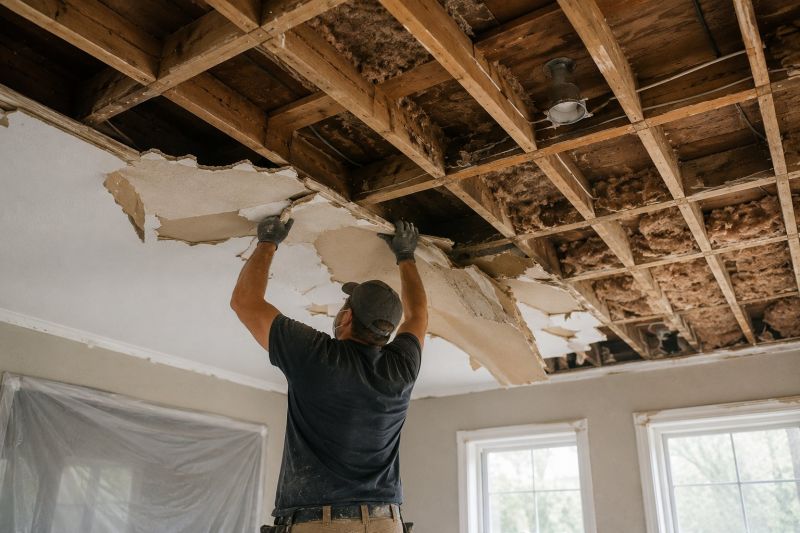 Ceiling Removal Service in Conroe, TX