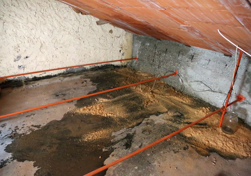 Crawl Space Remediation in Alpharetta, GA