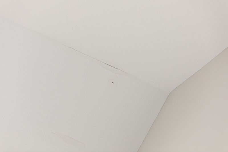 Leaking Ceiling Repair in Charleston, SC