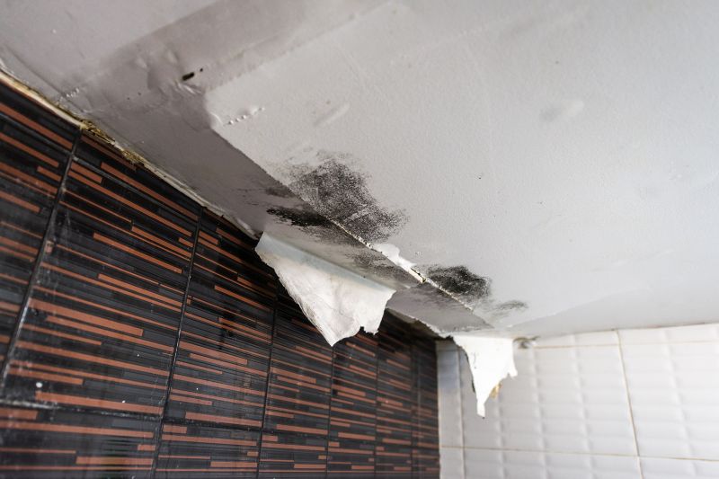 Water Damage Ceiling Repair in Katy, TX